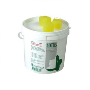 Urinalblock Lotus Bio-Z Citron