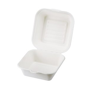 Bagasse burgerbox